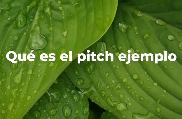 Qué es el Pitch Ejemplo
