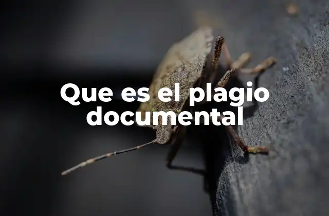 Que es el Plagio Documental