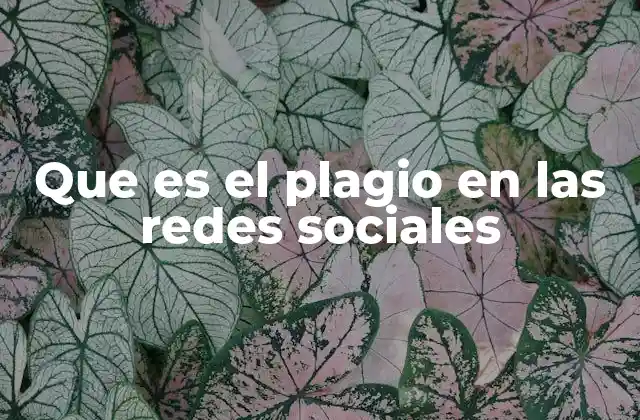 Que es el Plagio en las Redes Sociales