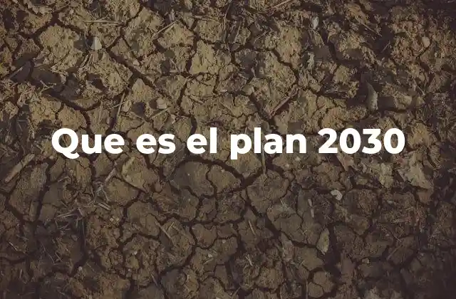 Que es el Plan 2030