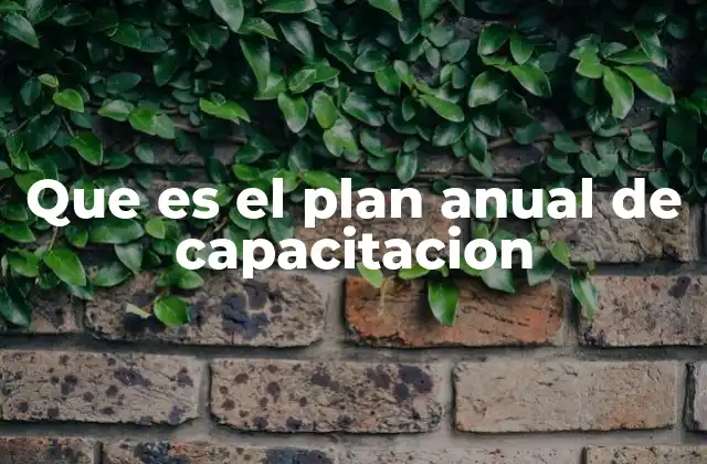 Que es el Plan Anual de Capacitacion