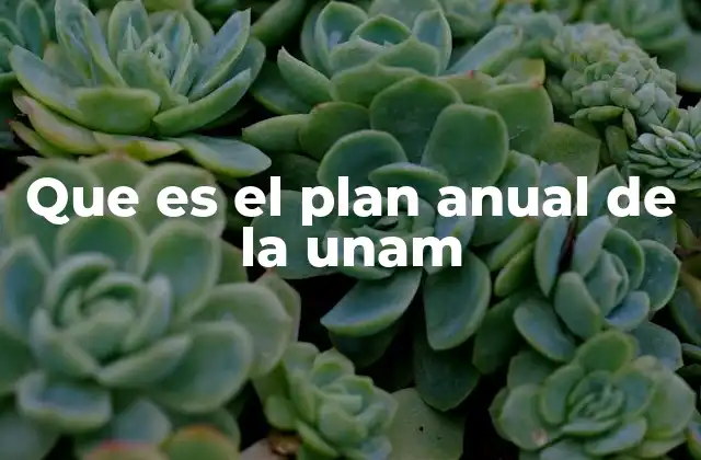 Que es el Plan Anual de la Unam