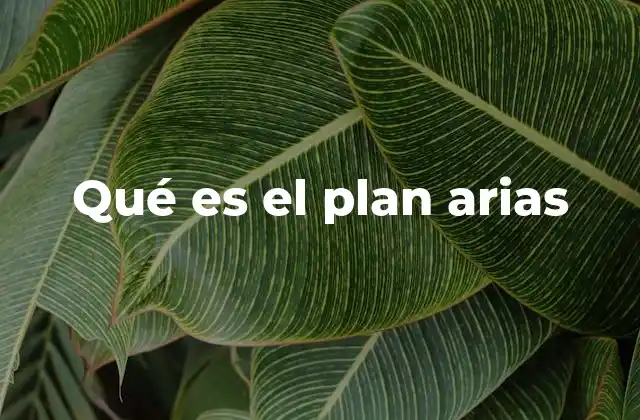 Qué es el Plan Arias