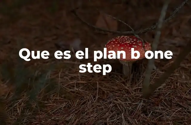 Que es el Plan B One Step 2 Cómo funciona el Plan B One Step