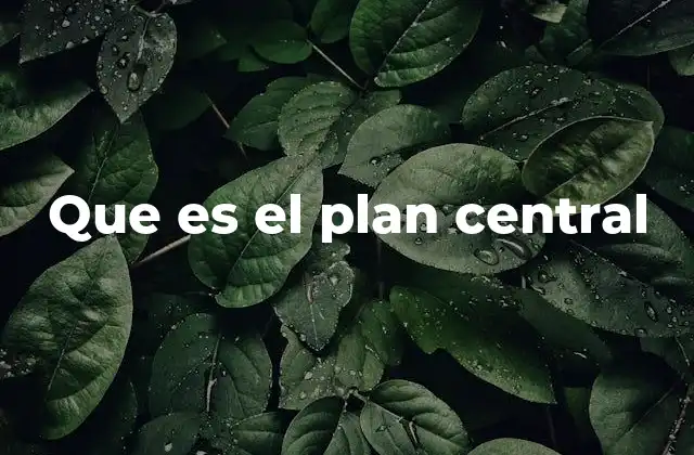 La importancia del plan central en la toma de decisiones