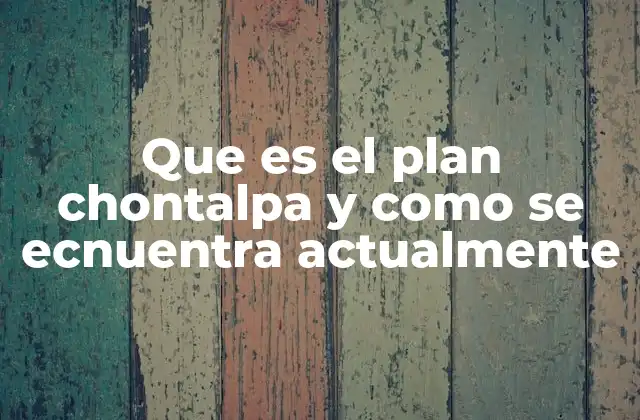 Que es el Plan Chontalpa y como Se Ecnuentra Actualmente