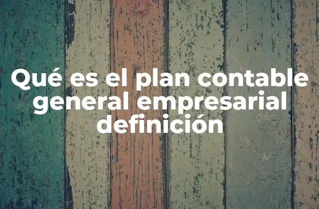 Qué es el Plan Contable General Empresarial Definición