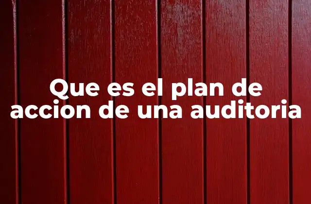Que es el Plan de Accion de una Auditoria