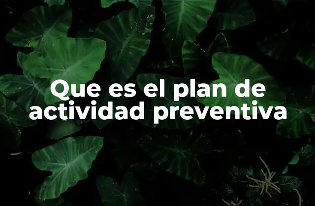 Que es el Plan de Actividad Preventiva