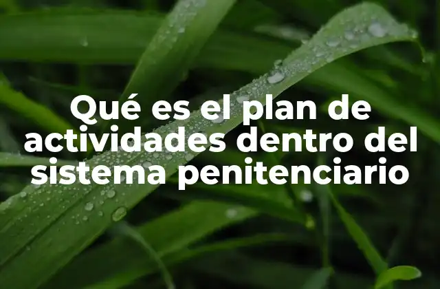 Qué es el Plan de Actividades Dentro Del Sistema Penitenciario