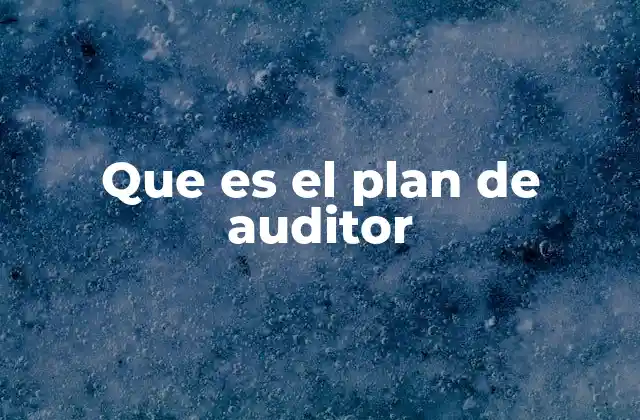 La importancia de estructurar un plan de auditoría