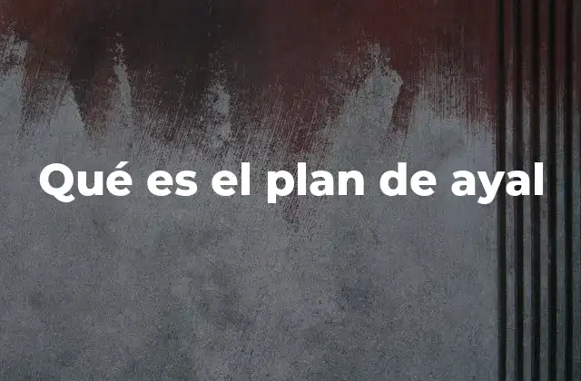 Qué es el Plan de Ayal