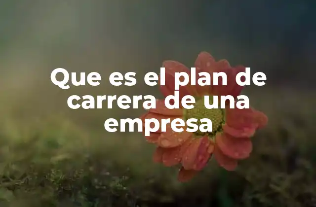 Que es el Plan de Carrera de una Empresa