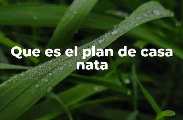Que es el Plan de Casa Nata 2 El impacto del programa en la vivienda social en México