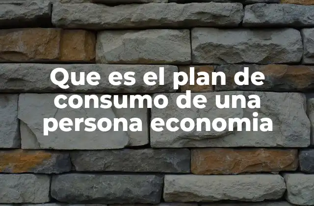 Que es el Plan de Consumo de una Persona Economia