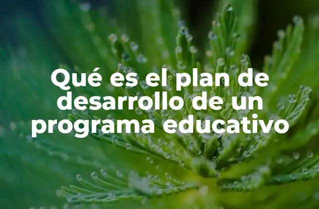 Qué es el Plan de Desarrollo de un Programa Educativo