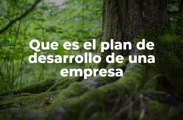 Que es el Plan de Desarrollo de una Empresa