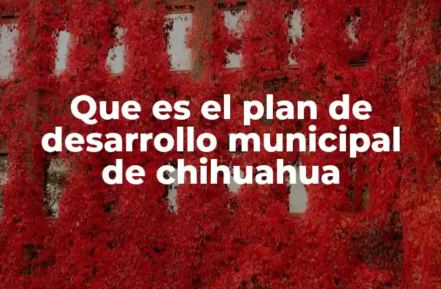 Que es el Plan de Desarrollo Municipal de Chihuahua