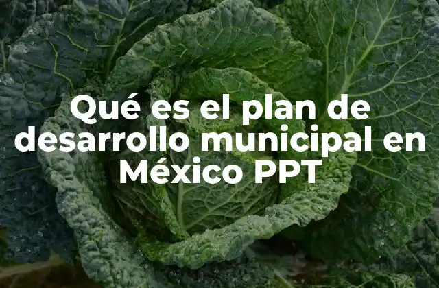 Qué es el Plan de Desarrollo Municipal en México Ppt