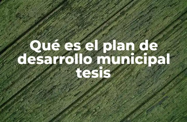 Qué es el Plan de Desarrollo Municipal Tesis