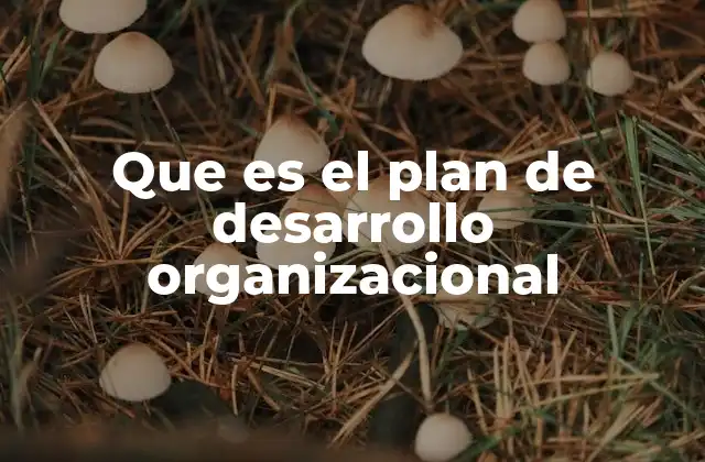 Que es el Plan de Desarrollo Organizacional
