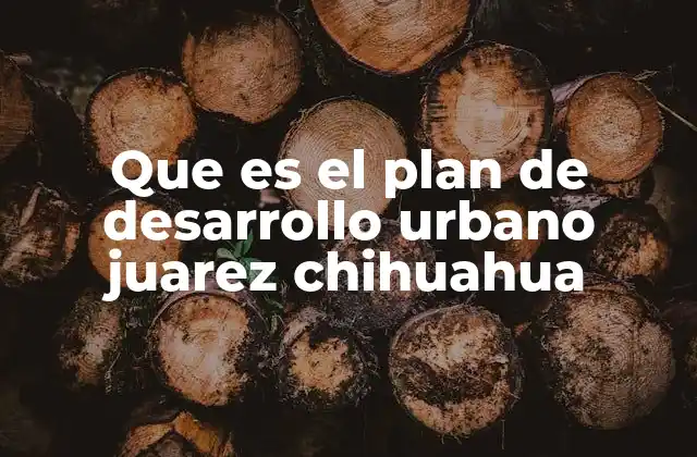 Que es el Plan de Desarrollo Urbano Juarez Chihuahua