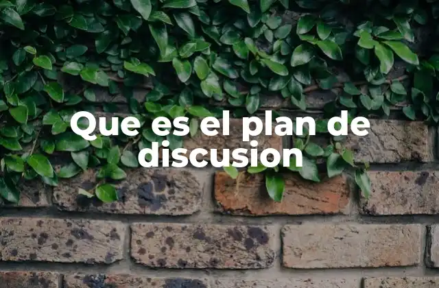 Que es el Plan de Discusion