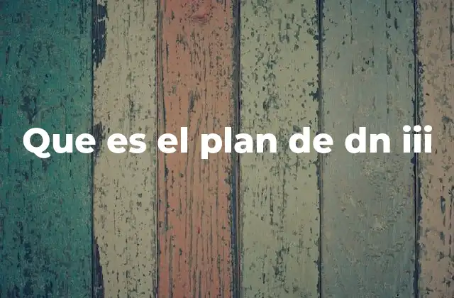 El contexto en el que surge el Plan de DN III