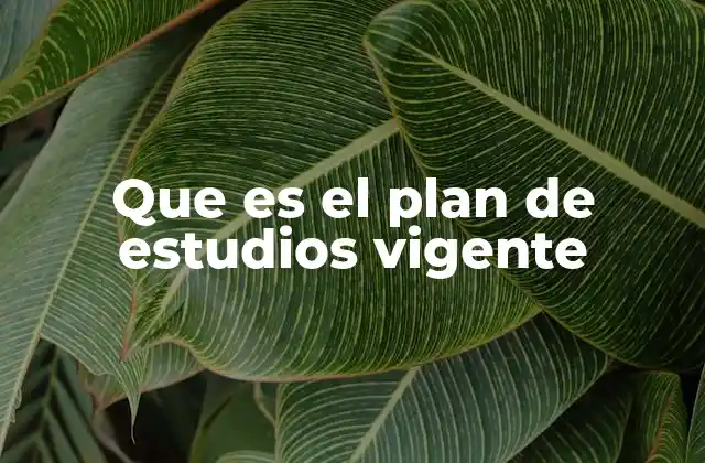 Que es el Plan de Estudios Vigente