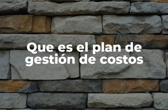 Que es el Plan de Gestión de Costos