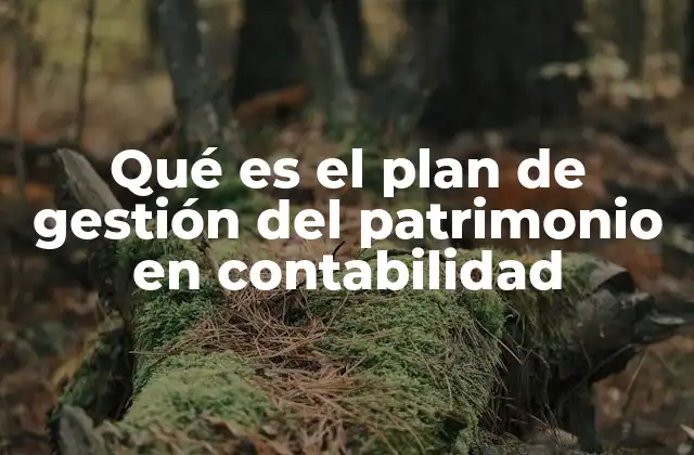 Qué es el Plan de Gestión Del Patrimonio en Contabilidad