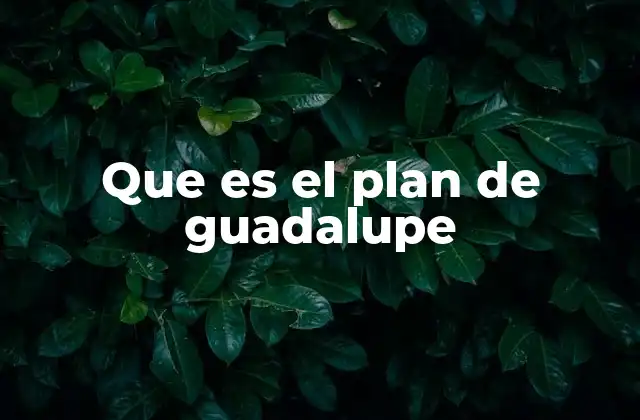 Que es el Plan de Guadalupe