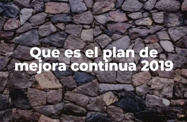 Que es el Plan de Mejora Continua 2019