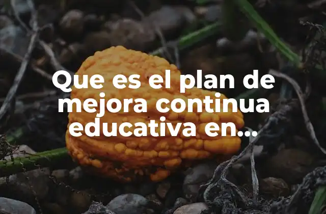 Que es el Plan de Mejora Continua Educativa en Diapositivas