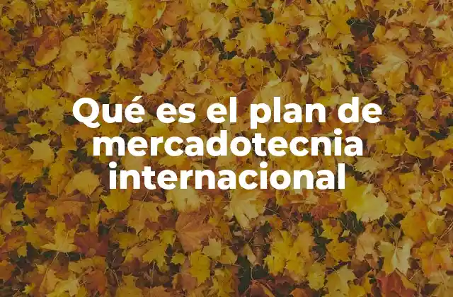 Qué es el Plan de Mercadotecnia Internacional