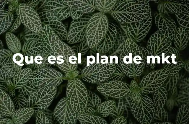 El papel del plan de marketing en la estrategia empresarial