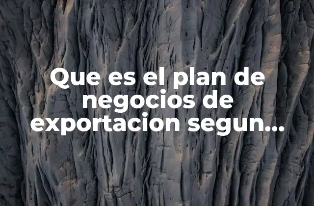 Que es el Plan de Negocios de Exportacion Segun Autores