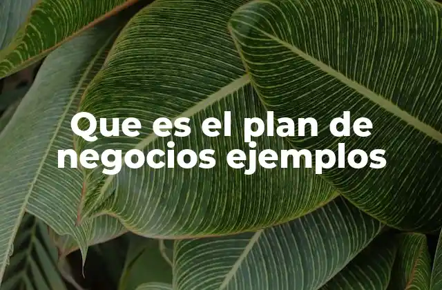¿Cómo se estructura un plan de negocios?