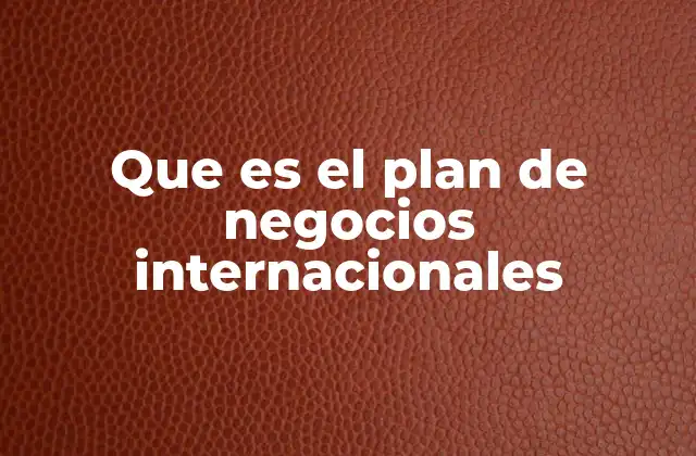 Que es el Plan de Negocios Internacionales