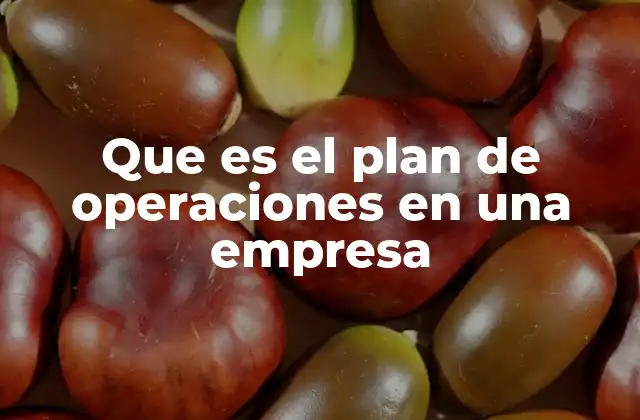 La importancia del plan de operaciones en la gestión empresarial