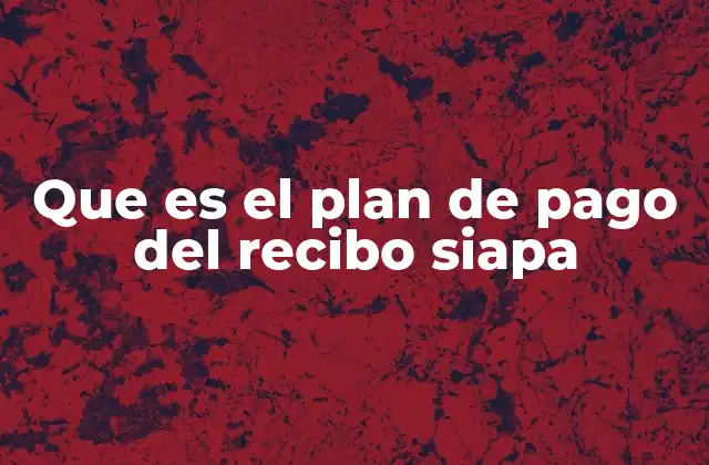Que es el Plan de Pago Del Recibo Siapa