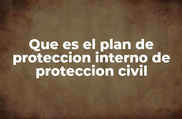 La importancia de contar con un plan de protección interno