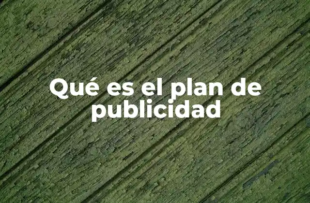 Qué es el Plan de Publicidad