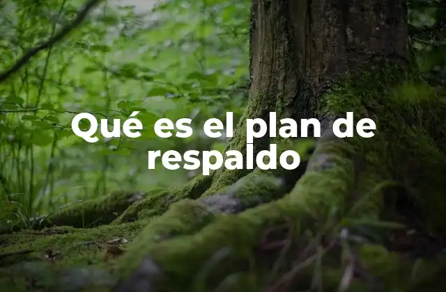 Qué es el Plan de Respaldo