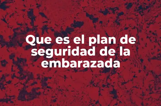 Que es el Plan de Seguridad de la Embarazada