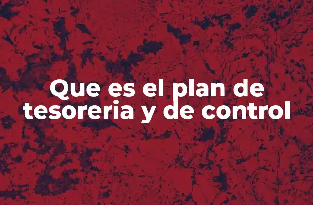 Que es el Plan de Tesoreria y de Control