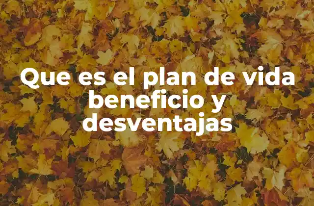 Que es el Plan de Vida Beneficio y Desventajas