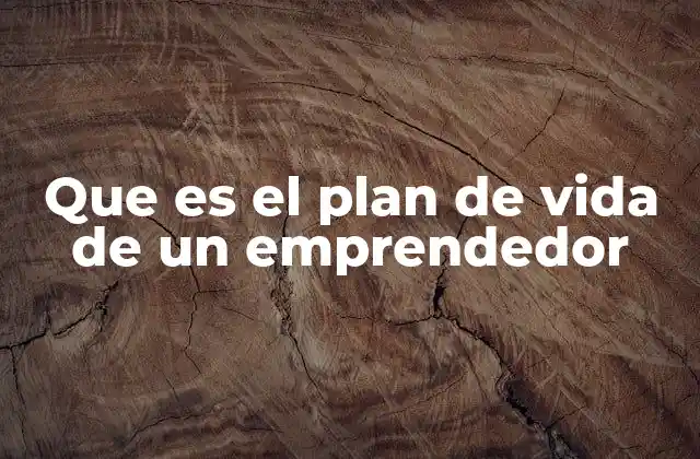 Que es el Plan de Vida de un Emprendedor