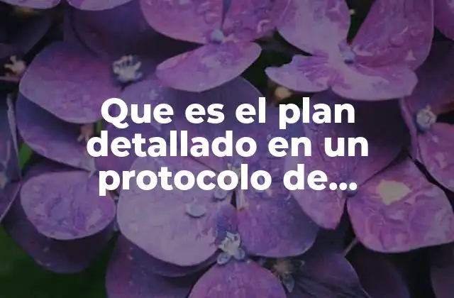 Que es el Plan Detallado en un Protocolo de Investigacion