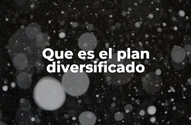 Que es el Plan Diversificado